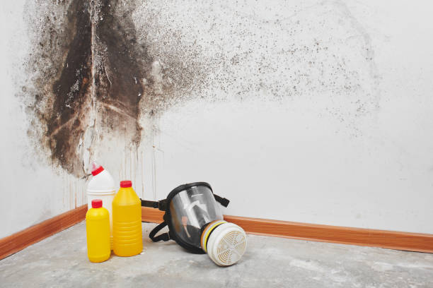Best Mold Testing  in New Berlin, WI