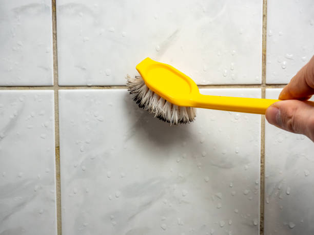 Best Mold Cleaning Services  in New Berlin, WI