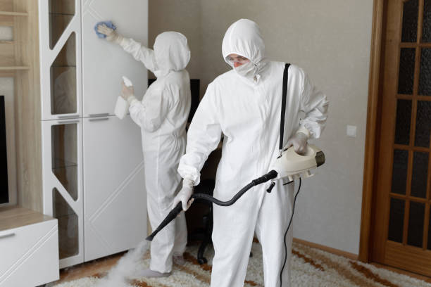 Professional Mold Removal in New Berlin, WI